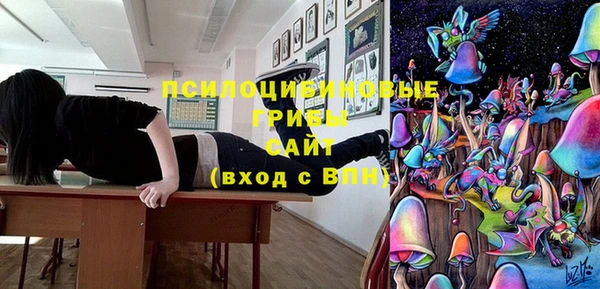 марки lsd Каменка