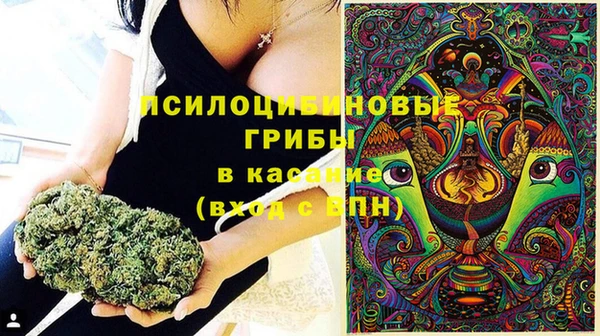 кокаин Каменногорск