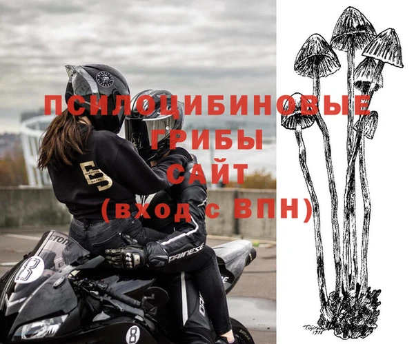 синтетический гашиш Каменск-Шахтинский
