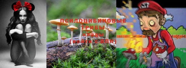 синтетический гашиш Каменск-Шахтинский