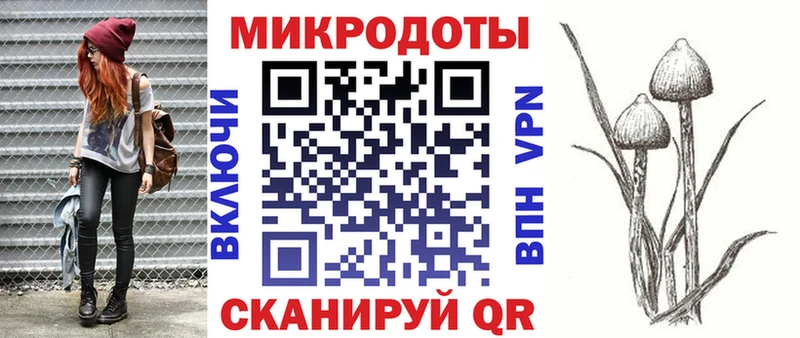 Псилоцибиновые грибы мухоморы  Купить закладки  Камбарка 